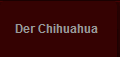 Der Chihuahua