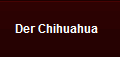 Der Chihuahua